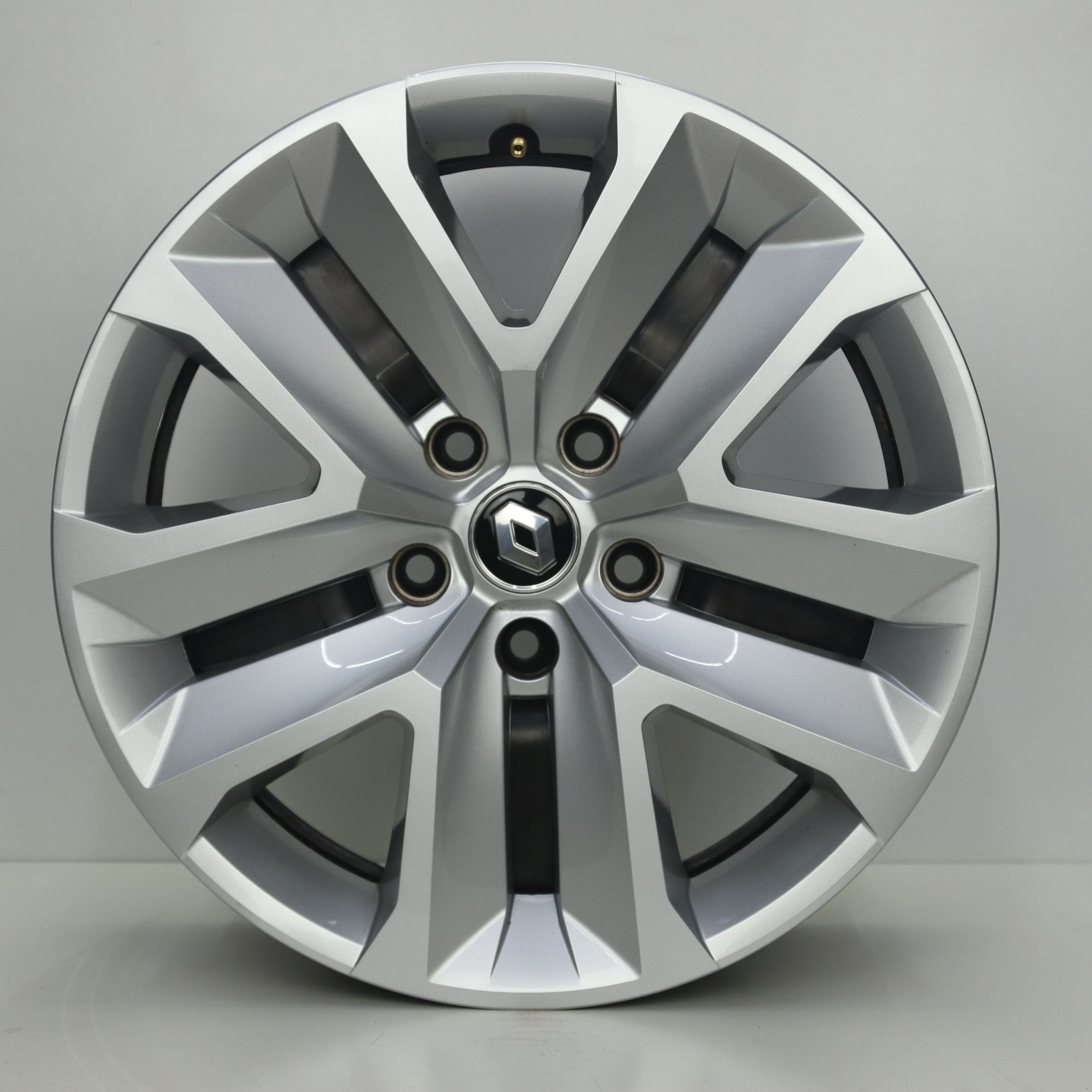 IN1003201 Originele 17 inch stalen Renault Captur velgen met kappen 7.00X17 5X114.3 ET35.0 NB66.10 Zilver