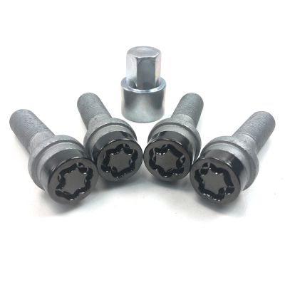 McGard slotboutset zwart (per set)